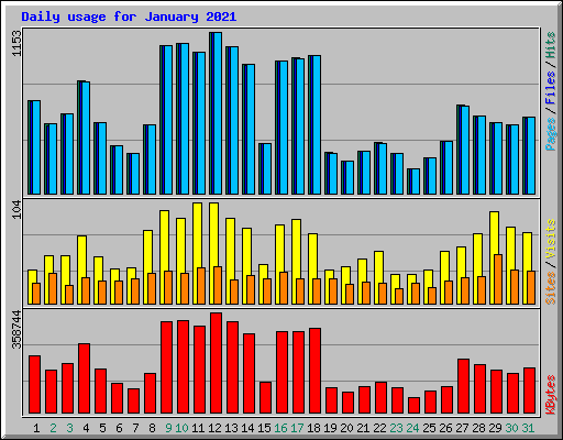 Daily usage for January 2021