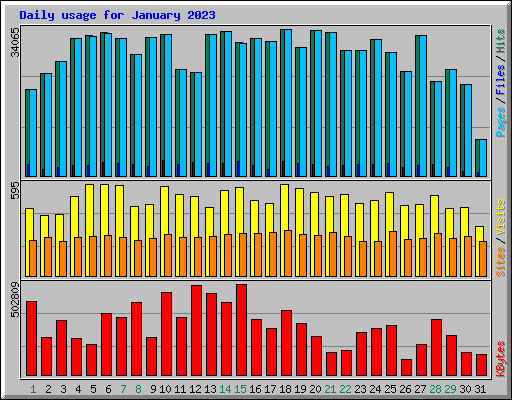 Daily usage for January 2023