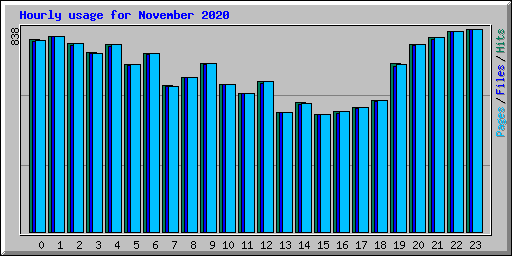 Hourly usage for November 2020
