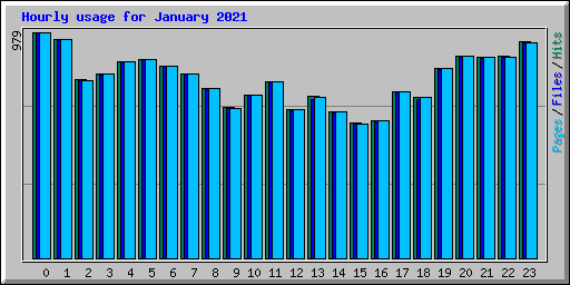 Hourly usage for January 2021