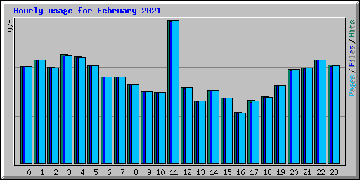 Hourly usage for February 2021