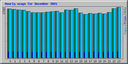 Hourly usage for December 2021