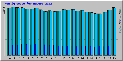 Hourly usage for August 2022