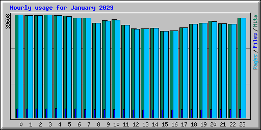 Hourly usage for January 2023