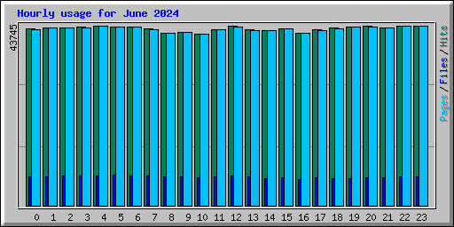 Hourly usage for June 2024