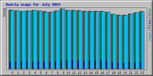 Hourly usage for July 2024