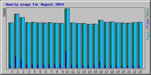 Hourly usage for August 2024