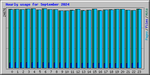 Hourly usage for September 2024