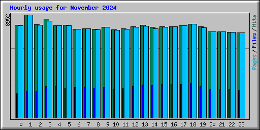 Hourly usage for November 2024