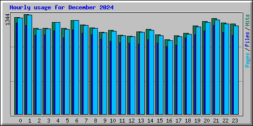 Hourly usage for December 2024