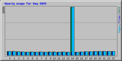Hourly usage for May 2025