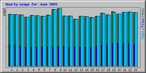 Hourly usage for June 2025