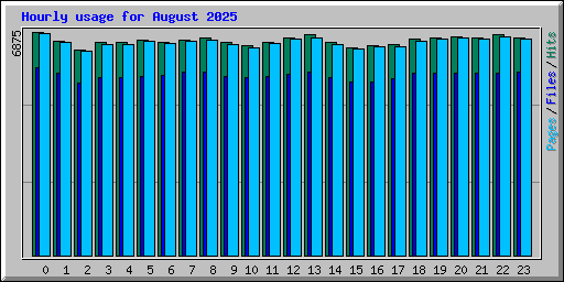 Hourly usage for August 2025