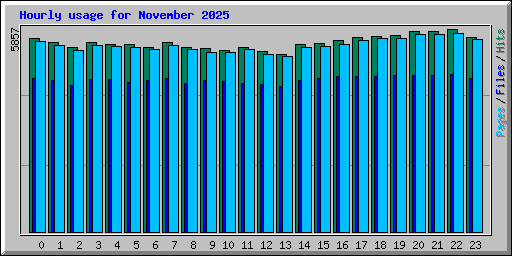 Hourly usage for November 2025