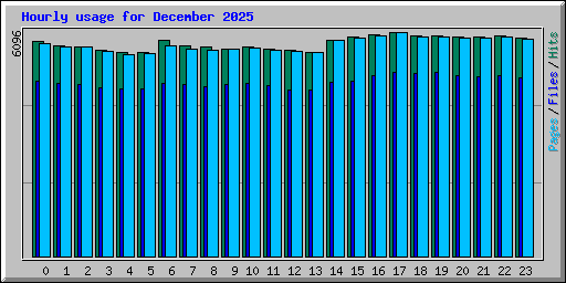 Hourly usage for December 2025