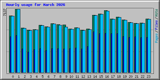 Hourly usage for March 2026