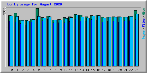Hourly usage for August 2026